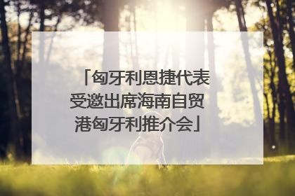 匈牙利恩捷代表受邀出席海南自贸港匈牙利推介会
