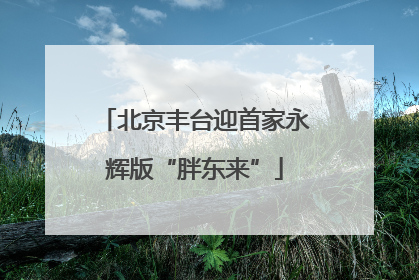 北京丰台迎首家永辉版“胖东来”