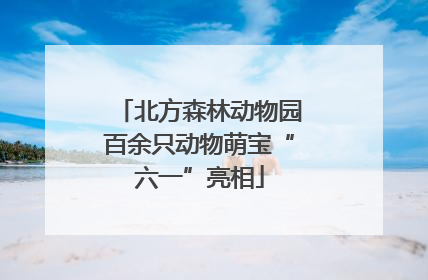 北方森林动物园百余只动物萌宝“六一”亮相