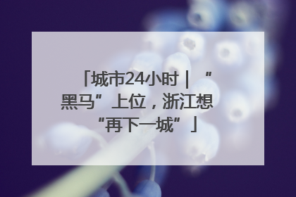 城市24小时｜“黑马”上位，浙江想“再下一城”