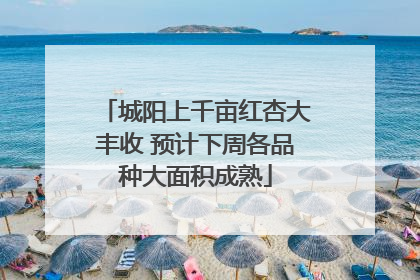 城阳上千亩红杏大丰收 预计下周各品种大面积成熟
