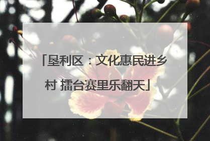 垦利区：文化惠民进乡村 擂台赛里乐翻天
