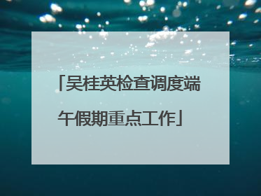 吴桂英检查调度端午假期重点工作
