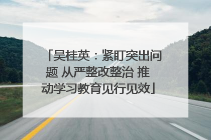 吴桂英：紧盯突出问题 从严整改整治 推动学习教育见行见效
