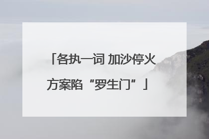 各执一词 加沙停火方案陷“罗生门”