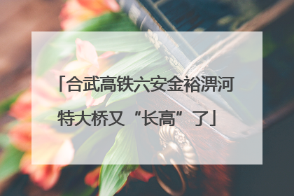 合武高铁六安金裕淠河特大桥又“长高”了