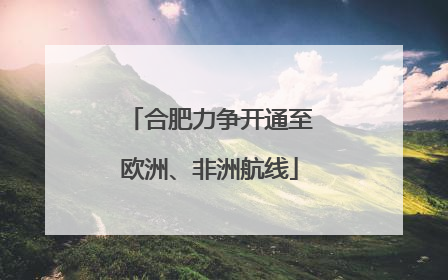 合肥力争开通至欧洲、非洲航线