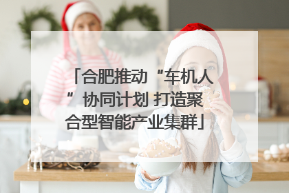 合肥推动“车机人”协同计划 打造聚合型智能产业集群