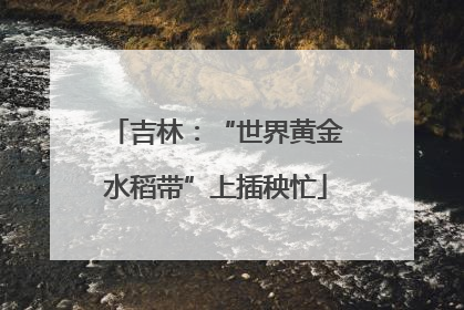 吉林：“世界黄金水稻带”上插秧忙