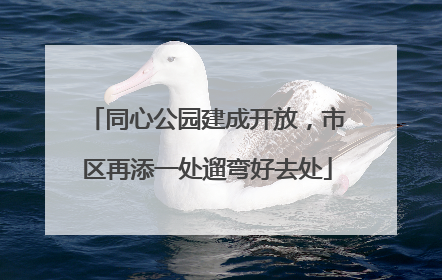 同心公园建成开放，市区再添一处遛弯好去处