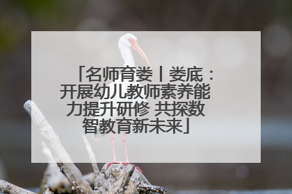 名师育娄丨娄底：开展幼儿教师素养能力提升研修 共探数智教育新未来
