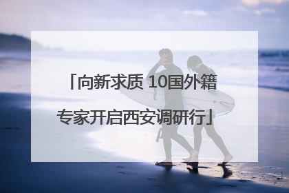 向新求质 10国外籍专家开启西安调研行