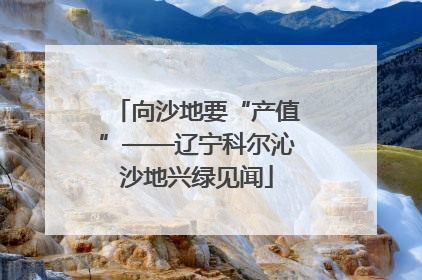 向沙地要“产值”——辽宁科尔沁沙地兴绿见闻