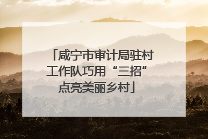 咸宁市审计局驻村工作队巧用“三招”点亮美丽乡村