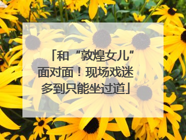 和“敦煌女儿”面对面！现场戏迷多到只能坐过道