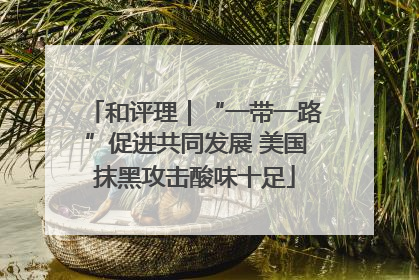 和评理｜“一带一路”促进共同发展 美国抹黑攻击酸味十足