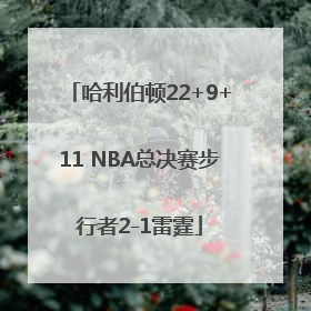 哈利伯顿22+9+11 NBA总决赛步行者2-1雷霆