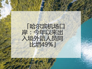 哈尔滨机场口岸：今年以来出入境外籍人员同比增49%