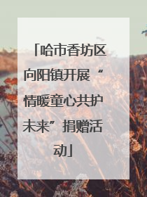 哈市香坊区向阳镇开展“情暖童心共护未来”捐赠活动