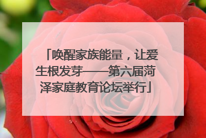 唤醒家族能量，让爱生根发芽——第六届菏泽家庭教育论坛举行