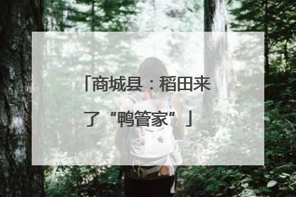 商城县：稻田来了“鸭管家”