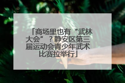 商场里也有“武林大会”？静安区第三届运动会青少年武术比赛拉举行
