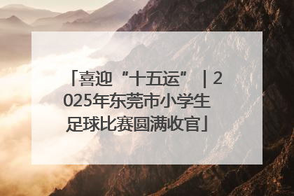 喜迎“十五运”｜2025年东莞市小学生足球比赛圆满收官