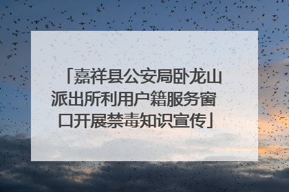 嘉祥县公安局卧龙山派出所利用户籍服务窗口开展禁毒知识宣传