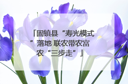 固镇县“寿光模式”落地 联农带农富农“三步走”