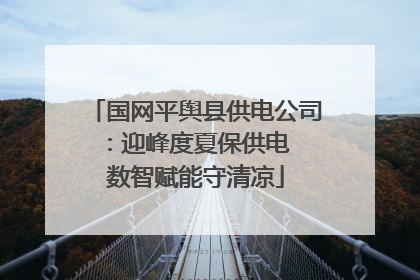 国网平舆县供电公司：迎峰度夏保供电  数智赋能守清凉