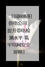 国网衡阳供电公司：提升带电检测水平 筑牢电网安全屏障