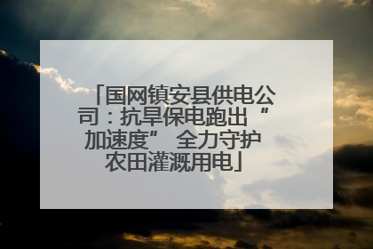 国网镇安县供电公司：抗旱保电跑出“加速度” 全力守护农田灌溉用电