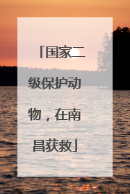 国家二级保护动物，在南昌获救