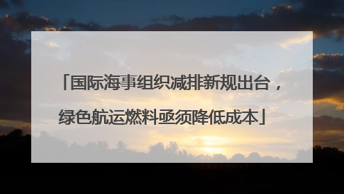 国际海事组织减排新规出台，绿色航运燃料亟须降低成本