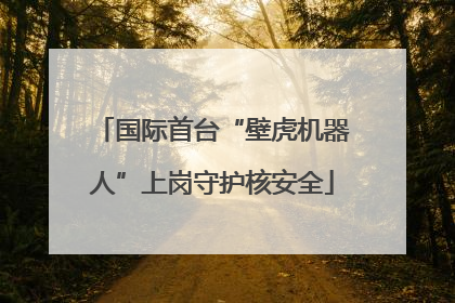 国际首台“壁虎机器人”上岗守护核安全