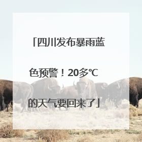 四川发布暴雨蓝色预警！20多℃的天气要回来了