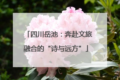 四川岳池：奔赴文旅融合的“诗与远方”