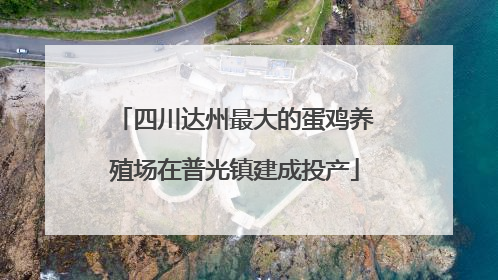 四川达州最大的蛋鸡养殖场在普光镇建成投产