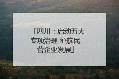四川：启动五大专项治理 护航民营企业发展