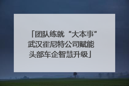 团队练就“大本事” 武汉霍尼特公司赋能头部车企智慧升级
