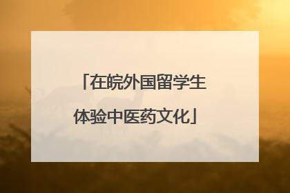 在皖外国留学生体验中医药文化