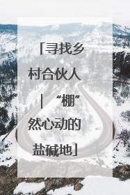 寻找乡村合伙人｜“棚”然心动的盐碱地
