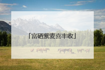 富硒紫麦喜丰收