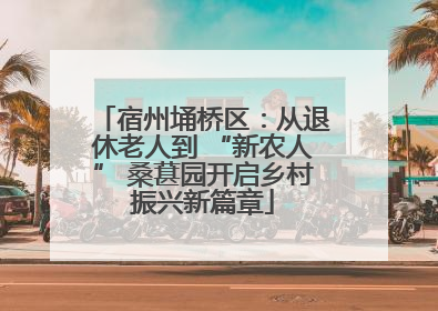 宿州埇桥区：从退休老人到 “新农人” 桑葚园开启乡村振兴新篇章