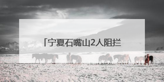 宁夏石嘴山2人阻拦执行公务，辱骂撕扯致民警受伤，拘！