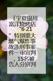 宁夏银川富洋烧烤店“6·21”特别重大燃气爆炸事故涉刑事案件一审宣判，15名被告人分别判刑六年至一年不等