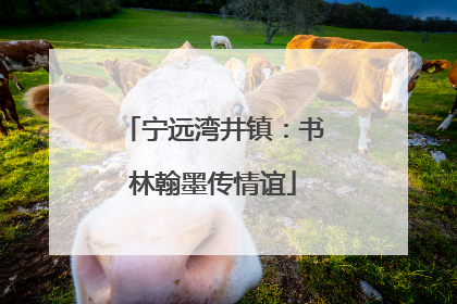 宁远湾井镇：书林翰墨传情谊