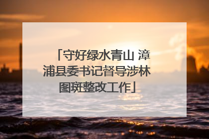 守好绿水青山 漳浦县委书记督导涉林图斑整改工作