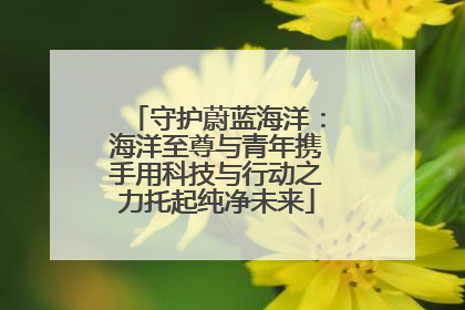 守护蔚蓝海洋：海洋至尊与青年携手用科技与行动之力托起纯净未来