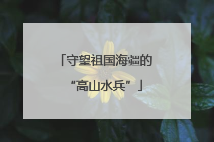 守望祖国海疆的“高山水兵”
